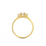 Eternal Elegance Emerald Diamond Ring